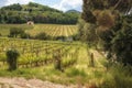 Rural landscape with village houses, fields, vineyards, olive trees and surrounding forest near Montepulciano, Tuscany, Italy.