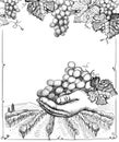 Rural landscape with vineyard and hand holding bunch of grape, vector graphic illustration Royalty Free Stock Photo