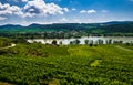 Rural Landscape With Vineyards At The River Danube in Wachau Valley In Austria Royalty Free Stock Photo