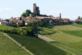 Vineyards of Langhe, Piedmont, Italy near Alba at May. Serralunga Royalty Free Stock Photo