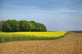 Rural landscape in Wallonia