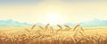 Rural landscape with wheat field Royalty Free Stock Photo