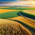 A rural landscape with wheat fields and a farm