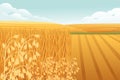 Rural landscape with wheat fields and green hills with blue clear sky on background vector illustration Royalty Free Stock Photo