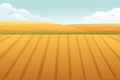 Rural landscape with wheat fields and green hills with blue clear sky on background vector illustration Royalty Free Stock Photo