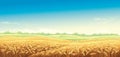Rural landscape with wheat fields Royalty Free Stock Photo