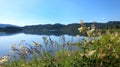 Rural Landscape with Wild Flowers, Green Grass and Tranquil Lake Reflection in Summer Royalty Free Stock Photo