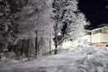 Rural landscape in winter with snow-covered trees. Twilight of a winter night and the magic of a snowy nature