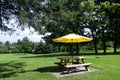 rural landscape with wooden table with benches and yellow umbrella on a farm in Canada