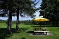 rural landscape with wooden table with benches and yellow umbrella on a farm in Canada