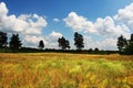 Rural landscapes Royalty Free Stock Photo