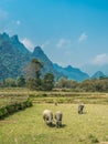 Ban Pakpo Countryside. Laos agriculture Royalty Free Stock Photo