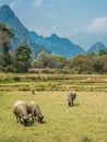 Ban Pakpo Countryside. Laos agriculture Royalty Free Stock Photo