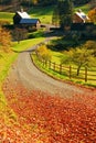 Rural lane in autumn Royalty Free Stock Photo