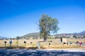 Rural Letterboxes in Country Australia