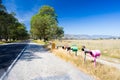 Rural Letterboxes in Country Australia