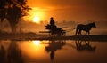 Rural life of an Asian rural man driving a mule harnessed to a cart