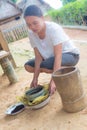 Rural life and farmland in Indonesia