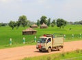 Rural life in India: wheat fields and small truck