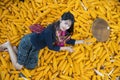 Rural life style concept. Girls in rural Thailand holding corn harvested in the fields Royalty Free Stock Photo