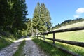 The rural macadam road,wooden fence,forest and field Royalty Free Stock Photo