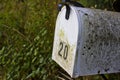 Rural Mailbox with Moss