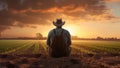 Male man rural summer farming background countryside sunset person field nature farmer sky standing