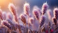 Rural meadow, ripe wheat, yellow sunset, nature beauty in autumn generated by AI Royalty Free Stock Photo