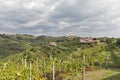 Rural mediterranean landscape with vineyards and Smartno village, Slovenia