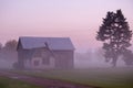 Rural Michigan barn shrouded in morning fog Royalty Free Stock Photo