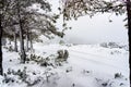 Rural mountain road completely covered with snow, with car rides Royalty Free Stock Photo