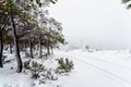 Rural mountain road completely covered with snow, with car rides Royalty Free Stock Photo