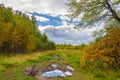 Rural Mud Road with Puddles Through Fall Forest as Autumn Landscape Royalty Free Stock Photo