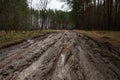 Rural muddy dirt road in early spring after rain against a background of bare trees and green firs. Off-road