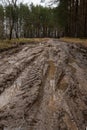 Rural muddy dirt road in early spring after rain against a background of bare trees and green firs.