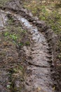Rural muddy dirt road in early spring after rain. Off-road