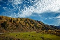 The rural, narrow road in the mountains in autumn sunny day, horses and cows grazing in a meadow under a bright blue sky Royalty Free Stock Photo