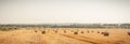 Rural nature in farmlands. Golden hey bale in the field. Yellow straw stacked in a roll. Wheat harvest in the summer Royalty Free Stock Photo