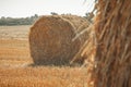 Rural nature in farmlands. Golden hey bale in the field. Yellow straw stacked in a roll. Wheat harvest in the summer Royalty Free Stock Photo