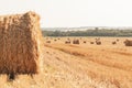 Rural nature in farmlands. Golden hey bale in the field. Yellow straw stacked in a roll. Wheat harvest in the summer Royalty Free Stock Photo