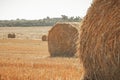 Rural nature in farmlands. Golden hey bale in the field. Yellow straw stacked in a roll. Wheat harvest in the summer Royalty Free Stock Photo