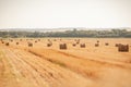 Rural nature in farmlands. Golden hey bale in the field. Yellow straw stacked in a roll. Wheat harvest in the summer Royalty Free Stock Photo