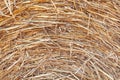 Rural nature in farmlands. Macro shot of golden hey bale. Yellow straw stacked in a roll. Wheat harvest in the summer Royalty Free Stock Photo