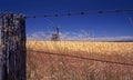 Rural New South Wales seen through an old barbed wire fence. Royalty Free Stock Photo