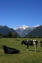 Rural New Zealand