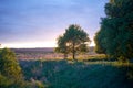 Rural North Dakota landscape in evening light Royalty Free Stock Photo