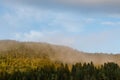 Rural Norway morning forest sunrise view. Nice sunny morning, pine trees Royalty Free Stock Photo