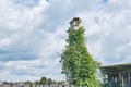 Rural birdhouse on a stick entwined with ivy liana against the backdrop of a beautiful sky