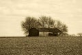 rural old deserted farm barn harvest farming cornfield corn harvested sepia retro history photograph Royalty Free Stock Photo