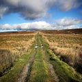 Rural old track road over the hill Royalty Free Stock Photo
